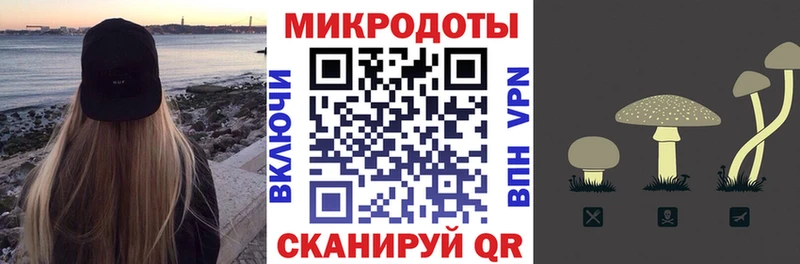 Галлюциногенные грибы прущие грибы  Тайга 
